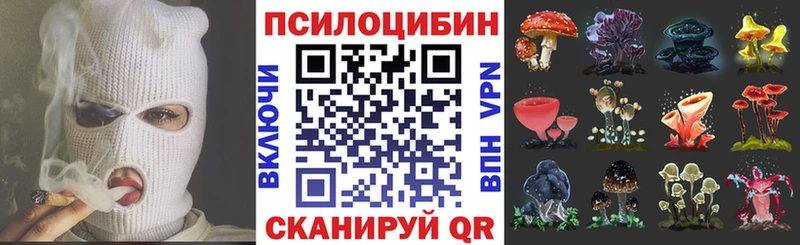 хочу   Белореченск  Галлюциногенные грибы Psilocybe 
